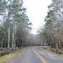 Lake Livingston State Park