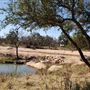 Gemini Movie Ranch