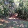 Scottsville Property