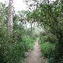 Sabal Palm Sanctuary