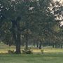 Fairlea Longhorn Ranch