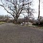 Max Starke Park