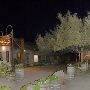 Gruene