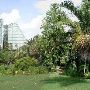 San Antonio Botanical Garden