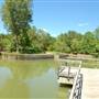 Clark Gardens Botanical Park