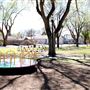Veteran's Memorial Park
