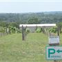 Red Wing Dove Winery