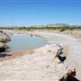 Terlingua Creek