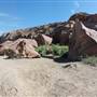 Horseback Riding Trails