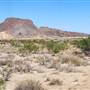 Horseback Riding Trails