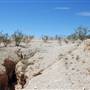 Terlingua Ghost Town