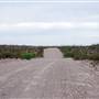 FM 169 to Casa Piedras