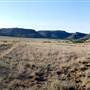 CF Ranch