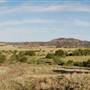 CF Ranch