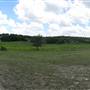 Running-R Ranch