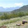 Big Bend National Park