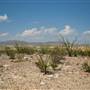Big Bend Ranch State Park - Barton Warnock Environmental Education Center