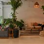 Eden Plant Co.