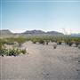 Big Bend Ranch State Park - Vista del Bofecillos