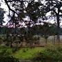 Hidden Meadows Ranch