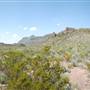 Big Bend Ranch State Park - Yedras