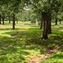 Allan Saxe Park