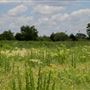 Blackland Prairie Park