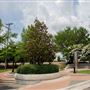 Gene Allen Park