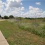 Lynn Creek Linear Park