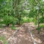 Sheri Capehart Nature Preserve