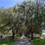 Sweeny Cemetery