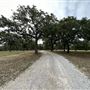 Fairlea Longhorn Ranch
