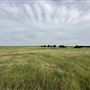 Fairlea Longhorn Ranch