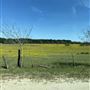 Bishop Property