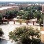 Texas A&M University