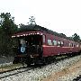Texas State Railroad
