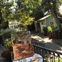 The Art Cottage Gallery and Working Studios