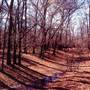 Mineola Nature Preserve