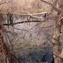 Mineola Nature Preserve