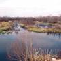 Mineola Nature Preserve