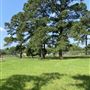 HorseLink Farm