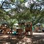 Carol Fox Park
