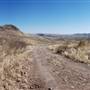 Cibolo Creek Ranch
