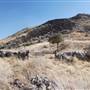 Cibolo Creek Ranch