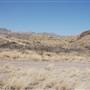 Cibolo Creek Ranch
