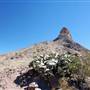 Big Bend National Park - Cerro Castellan