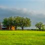 Lambshead Ranch