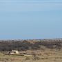 Lambshead Ranch
