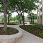 Holiday Inn Austin Midtown
