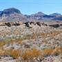 Big Bend Ranch State Park - Three Dike Hill
